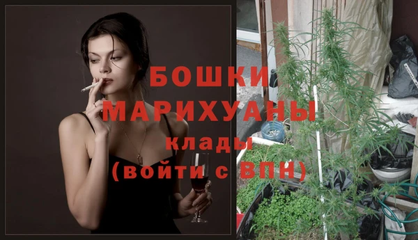 каннабис Покачи